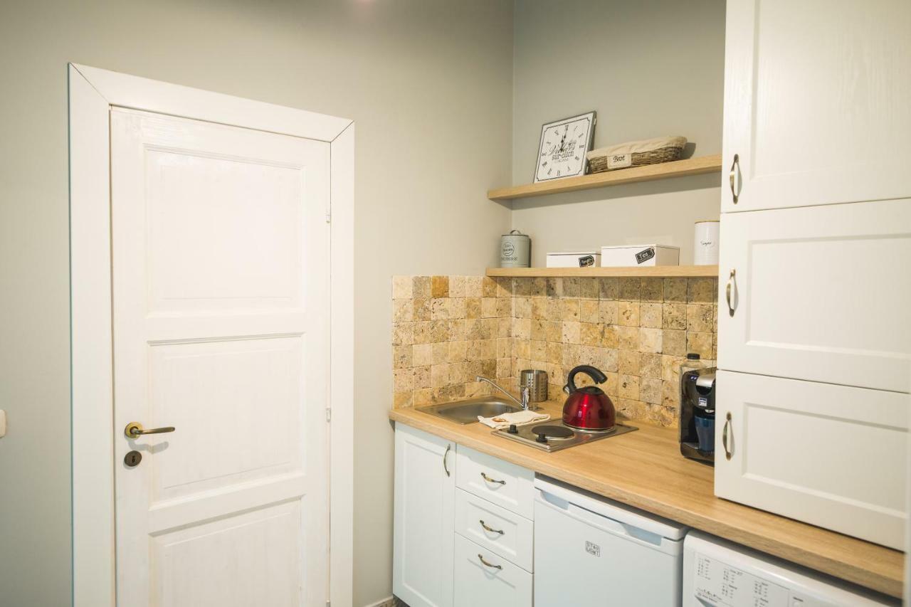 טימישוארה Chic Apartment In Historical City Center מראה חיצוני תמונה
